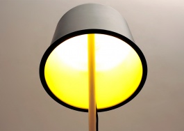 M A R T I N   H I R T H