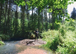 M A R T I N   H I R T H